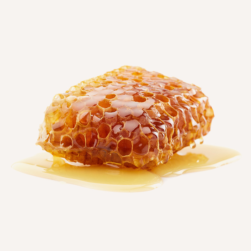 Čuvanje meda